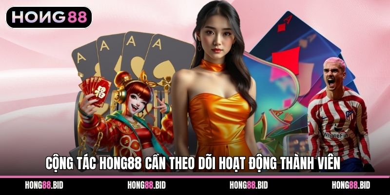 Đại Lý Hong88 Với Mô Hình Hợp Tác Cá Cược Minh Bạch 3 Cộng tác Hong88 cần theo dõi hoạt động thành viên