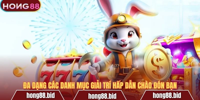 Đa dạng các danh mục giải trí hấp dẫn chào đón bạn