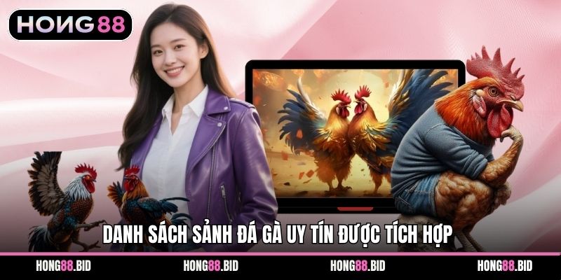 Danh sách sảnh đá gà uy tín được tích hợp