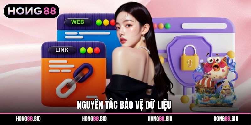 Nguyên tắc bảo vệ dữ liệu
