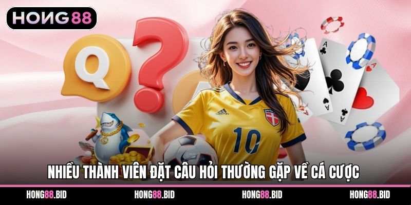 Câu Hỏi Thường Gặp Khi Tham Gia Cá Cược Tại Hong88 1 Nhiều thành viên đặt câu hỏi thường gặp về cá cược