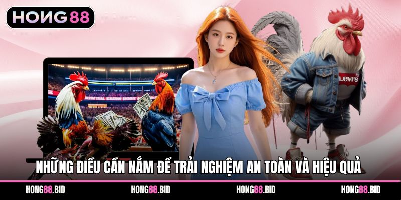 Những điều cần nắm để trải nghiệm an toàn và hiệu quả